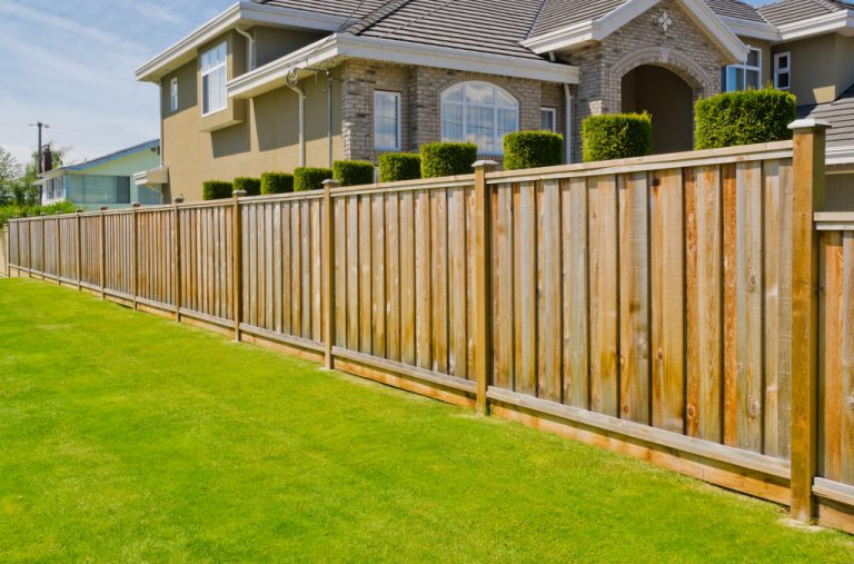 wood fenced yard