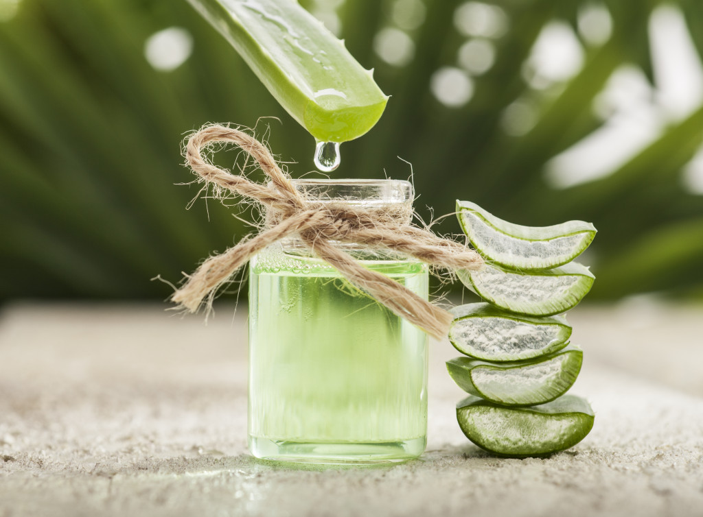 Aloe vera leaves cut into sections and the liquid being collected in a glass bottle with a twine rope