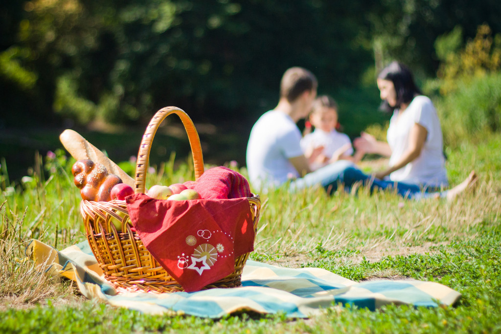 Small family having a picnic with the picnic basket filled with apples and bread.