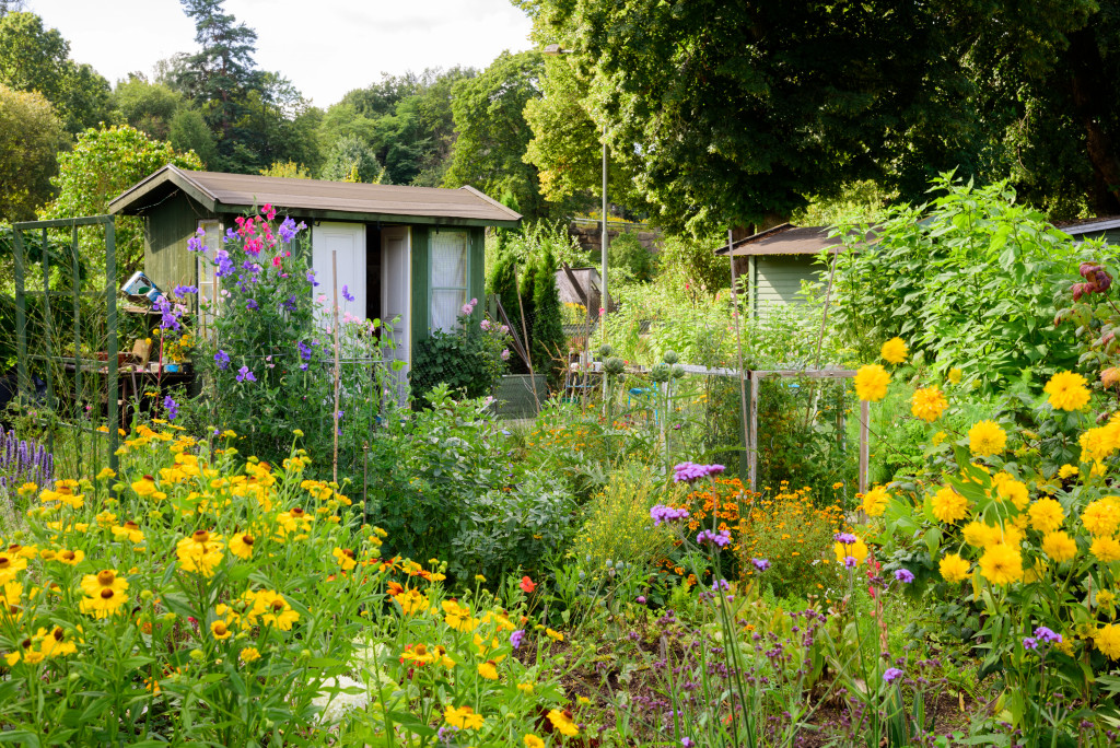 A shed in a colorful flower garden