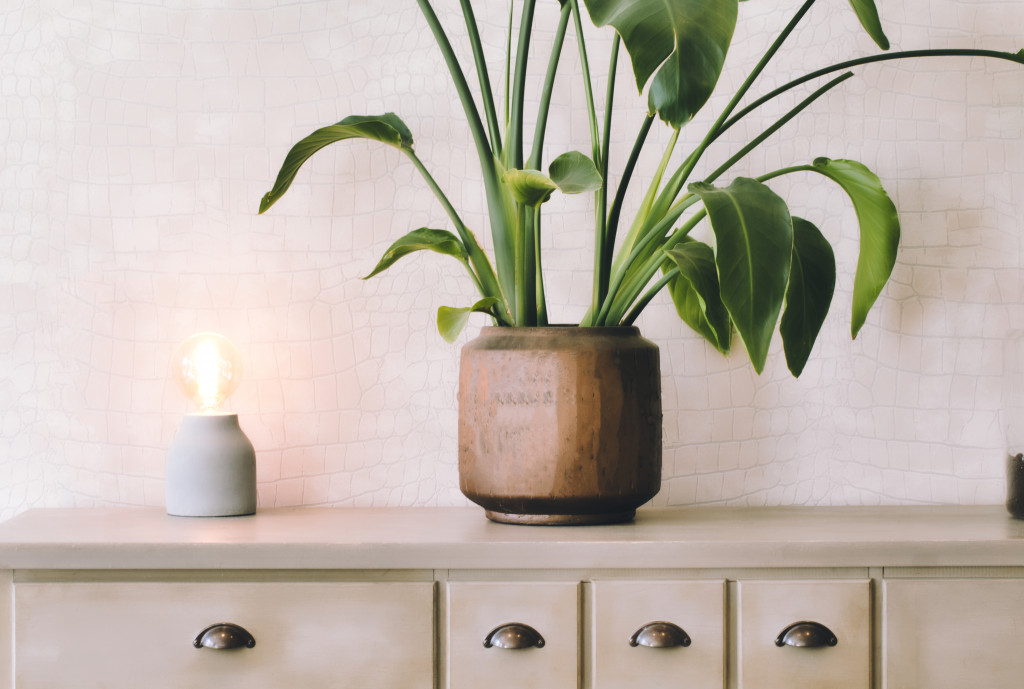 A potted houseplant on a desk with a lighting fixture