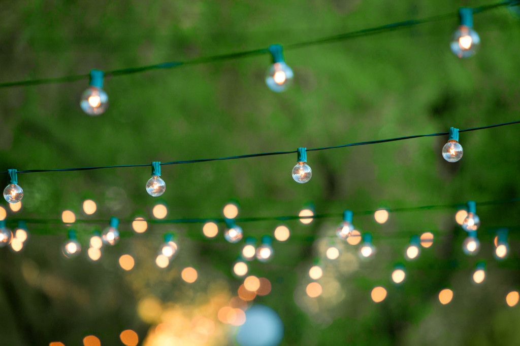 pixie lights hanged in garden