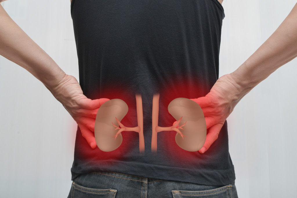 Kidney disease in man